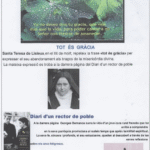 SETMANA  XVIII   –    DURANT  L’ANY