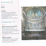 TEMPS  DURANT  L’ANY  – SETMANA  DEL DIUMENGE   V   –  Evangeli  MATEU 5, 13-16